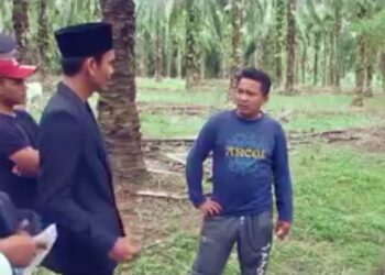 Lucu, UU Tentang Uang Numpang Kawin Perkawinan Lembu