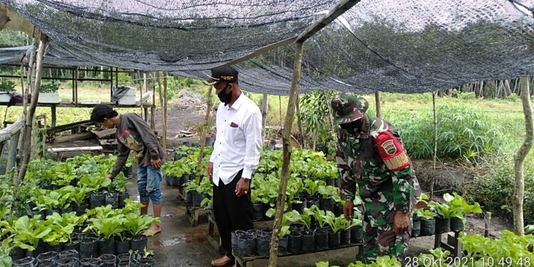 Babinsa kelurahan Moro Motivasi Warga Ketahanan Pangan
