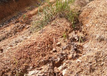 Jalan Desa Sanglar Beberapa Titik Butuh Perbaikan Ini Tanggapan Kades Sandri