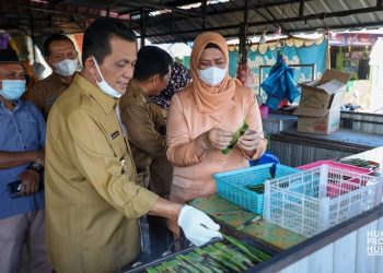 Gubernur Tinjau Rencana Penataan Kawasan Wisata Sei Enam Kijang