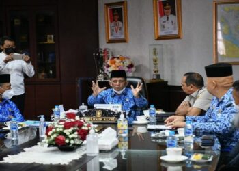 Gubernur Ansar Dukung Investasi PLTS Berkapasitas Besar di Kepri