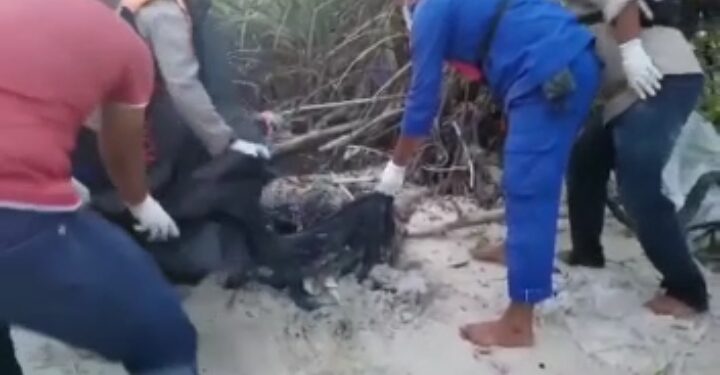 Penemuan Mayat Tanpa Kepala Di Pulau Asam Karimun