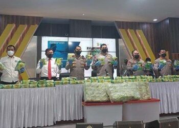Polisi Berhasil Ringkus Penyeludupan Narkoba Jaringan Internasional, Sita 133 Kg Sabu