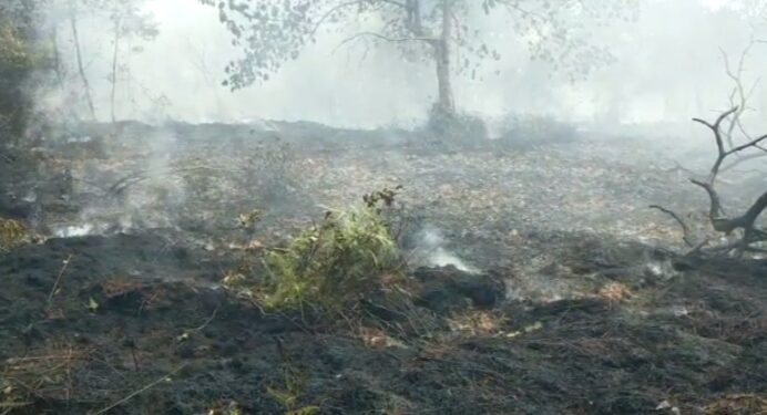 Damkar Dan BNPB Kerahkan Dua Mobil, Padamkan Api Di Lahan Gambut