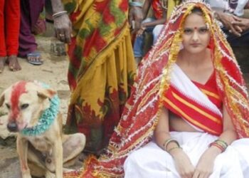 Astaga! Wanita Cantik Ini Nikahi Anjing, Alasannya Bikin Kaget