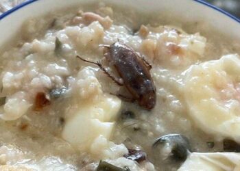 Aduk-aduk Bubur, Pelanggan Rumah Makan di Singapura Ini Kaget karena Muncul Bangkai Kecoa