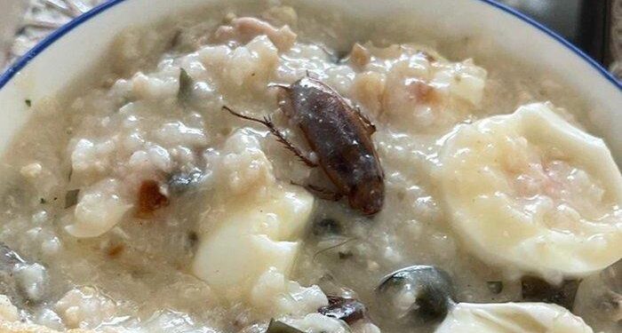 Aduk-aduk Bubur, Pelanggan Rumah Makan di Singapura Ini Kaget karena Muncul Bangkai Kecoa
