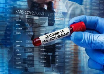 Waspada Virus Omicron, Luhut Minta Perkantoran Diminta Lakukan Work From Home