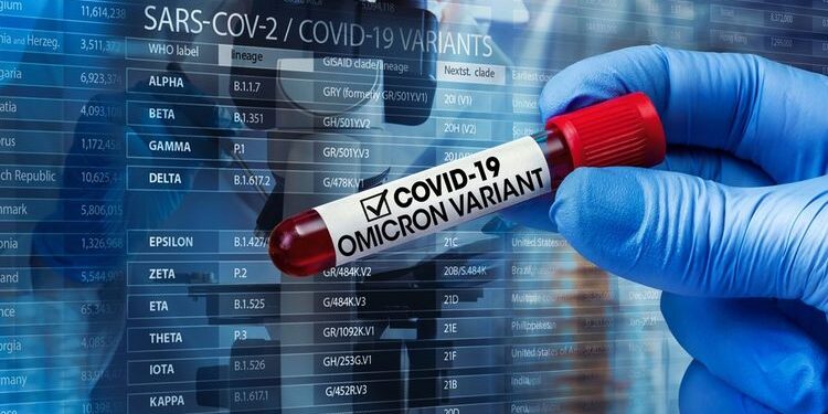 Waspada Virus Omicron, Luhut Minta Perkantoran Diminta Lakukan Work From Home