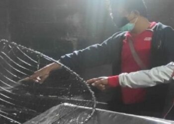 Merinding, Ini Detik-detik Kepala Satuki Masuk ke Penggorengan Kerupuk hingga Tewas