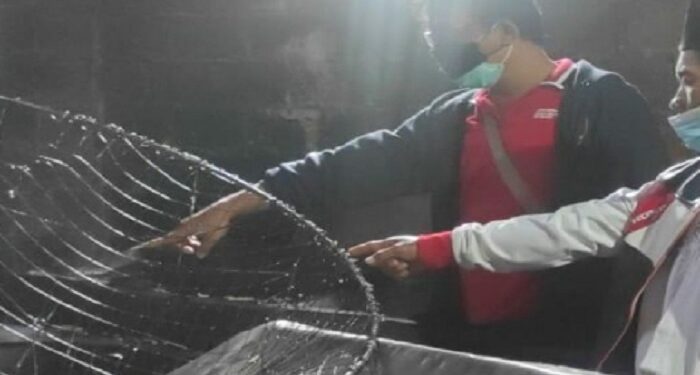 Merinding, Ini Detik-detik Kepala Satuki Masuk ke Penggorengan Kerupuk hingga Tewas