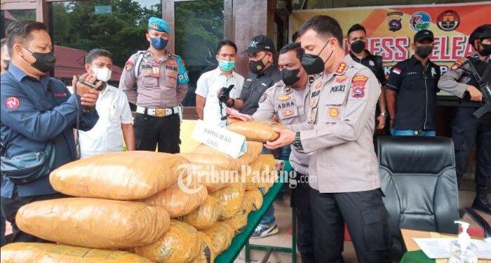 25 Kilogram Ganja Kering Disita Polisi Dari Seorang Pemuda Di Padang Besi Kota Padang