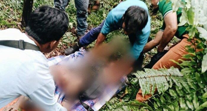 Tubuh Penebang Pohon Terselip Di Balik Dedaunan Terpisah Dari Kepala, Rekan Curiga Saat Makan Siang