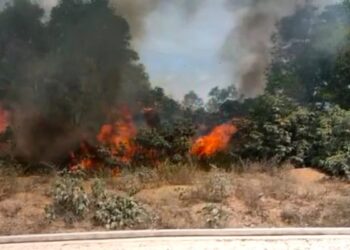 Kapolres Karimun Ingatkan Ada Pidana Bagi Pembakar Lahan