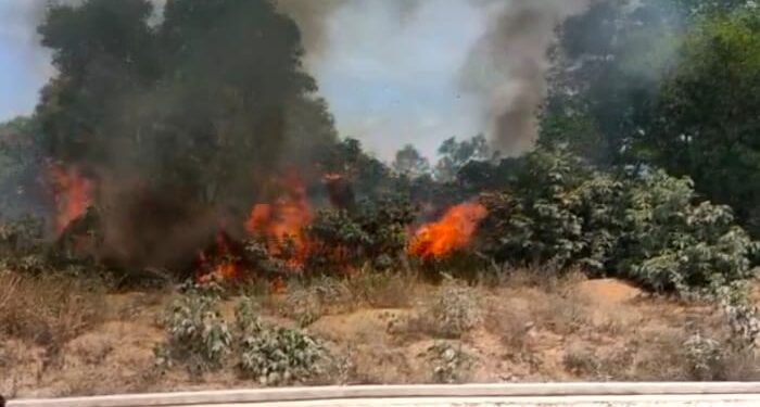 Kapolres Karimun Ingatkan Ada Pidana Bagi Pembakar Lahan