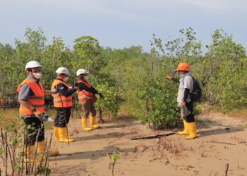 Tinjau Reklamasi PT Timah Tbk di Kundur, Kementerian ESDM Sebut Berikan Dampak Ekonomi Bagi Masyarakat 