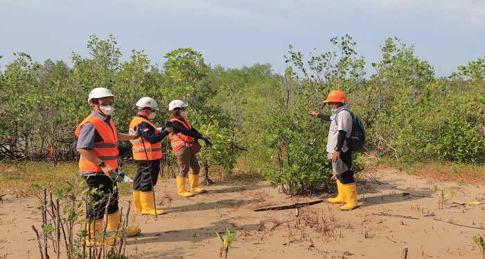 Tinjau Reklamasi PT Timah Tbk di Kundur, Kementerian ESDM Sebut Berikan Dampak Ekonomi Bagi Masyarakat 
