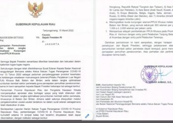 Pemerintah Pusat Tanggapi Surat Gubernur Kepri Terkait Optimalisasi PPLN