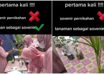 Viral Tamu Undangan Pernikahan Dapat Suvenir Bibit Tanaman, Mulai Dari Palem Hingga Bidar