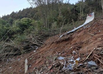 Pesawat China Eastern Airlines Jatuh, Xi Jinping Syok, Penduduk Lihat Puing-puing