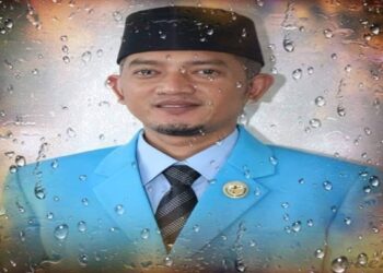 Ini Kata Ketua KNPI Karimun Terkait Kisruh KNPI Kepri