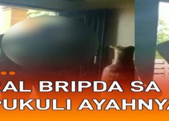 Viral Polisi Pukuli Brimob, Ternyata Ayah Hajar Anak Yang Aniaya Pacar Di Bawah Umur