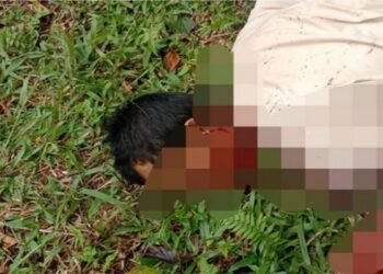 Anak Main Petasan, Papanya Tewas Ditebas Tetangga