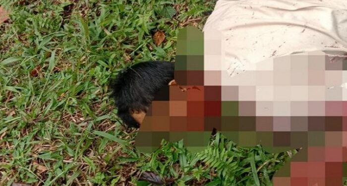 Anak Main Petasan, Papanya Tewas Ditebas Tetangga