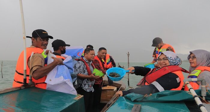 Perbanyak Populasi Kepiting Bakau Di Karimun, PT Timah Kembali Lepas Ratusan Bibir Ekor Kepiting Bakau Di Pulau Karimun