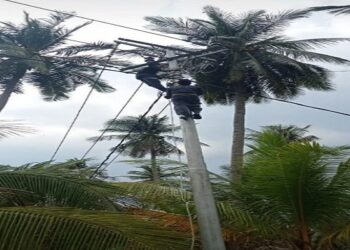 Polemik Pemasangan Tiang Listrik PLN Desa Sanglar Akhirnya Dipindah Sebagai Solusi