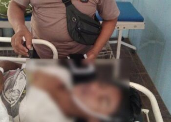 Menemani Bos Latihan Menembak Di Ladang Persawahan, Idam Malah Tewas Tertembak