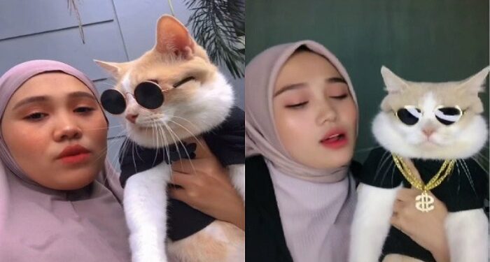 Pororo Kucing Tiktok Hilang