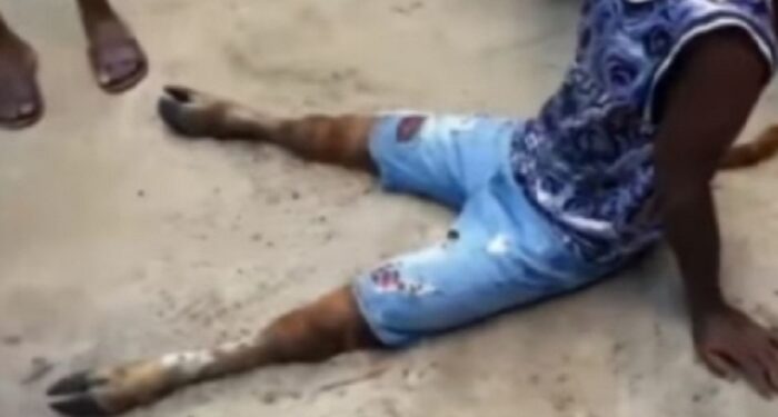 Geger! Pria Ini Berubah Jadi Sapi Usai Selingkuh Dengan Istri Orang