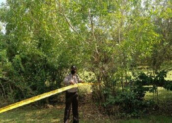 Dikira Layangan, Ternyata Bule Polandia Tewas Gantung Diri Di Pohon