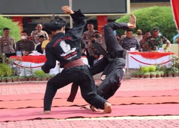 Menjelang Hari Bhayangkara Ke-76, Kapolres Karimun Buka Turnamen Kejuaraan Pencak Silat Kapolres Karimun Cup I 2022