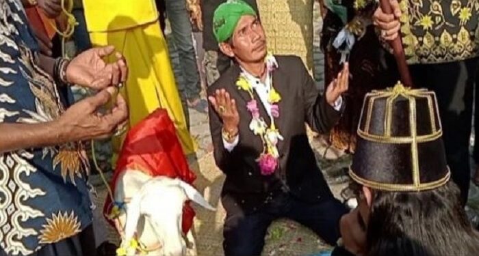 Heboh Aksi Pria Menikahi Kambing Betina Di Gresik, Muhammadiyah Dan NU Bereaksi Keras, Kalimatnya Tak Main-Main
