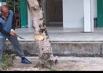 SMKN 1 Moro Laksanakan Gotong Royong Persiapan Bangun Ruang Praktek Siswa