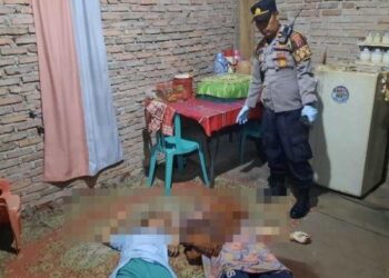 Tuntut Ilmu Hitam, Pria di Solok Tebas Leher Ibu dan Adik Kandung Hingga Tewas