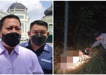 Temuan Sementara Mayat Siswi SMP Dugaan Korban Perkosaan di Langkat, Kepala Retak Dihantam Batu