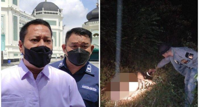 Temuan Sementara Mayat Siswi SMP Dugaan Korban Perkosaan di Langkat, Kepala Retak Dihantam Batu