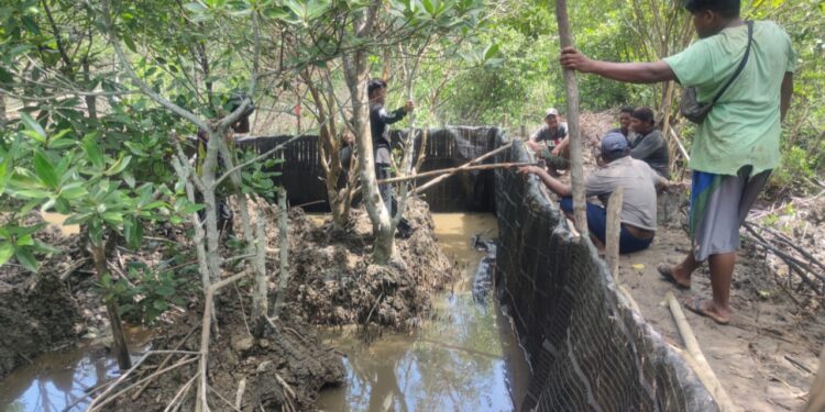 PT Timah tanam 5000 Bibit Mangrove di Pantai Teluk Salak