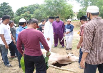 Idul Adha, Polres Karimun Potong 5 Sapi Dan 2 Kambing