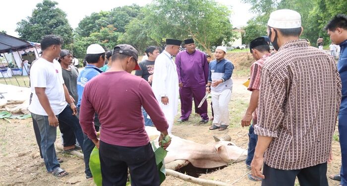 Idul Adha, Polres Karimun Potong 5 Sapi Dan 2 Kambing