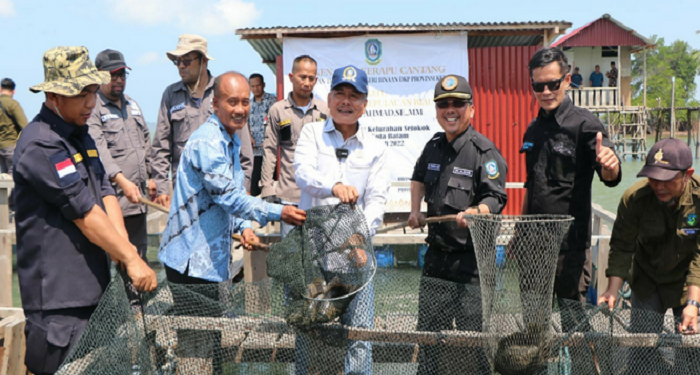 Taba Iskandar Wakili Gubernur Ansar Panen Ikan Kerapu Cantang di Pulau Akar