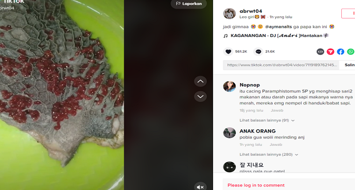 Viral, Video Cacing Berwarna Merah pada Babat Sapi, Ini Penjelasan Dokter
