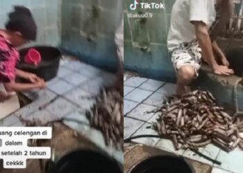 Viral Pasutri Menabung di Sumur Selama 2 Tahun, Alasannya Bikin Heran