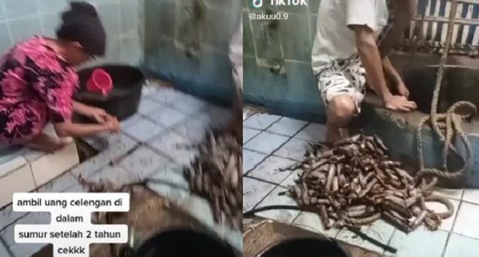 Viral Pasutri Menabung di Sumur Selama 2 Tahun, Alasannya Bikin Heran