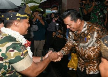 Gubernur Ansar Sambut Panglima TNI di Bandara RHF