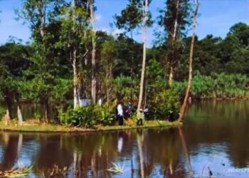Fenomena Langka, Pulau di Kalimantan Barat Bisa Bergerak Sendiri