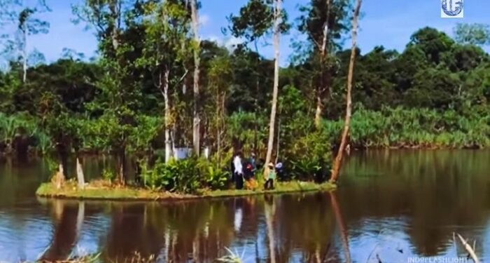Fenomena Langka, Pulau di Kalimantan Barat Bisa Bergerak Sendiri